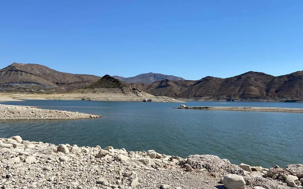 CHIHUAHUA presa