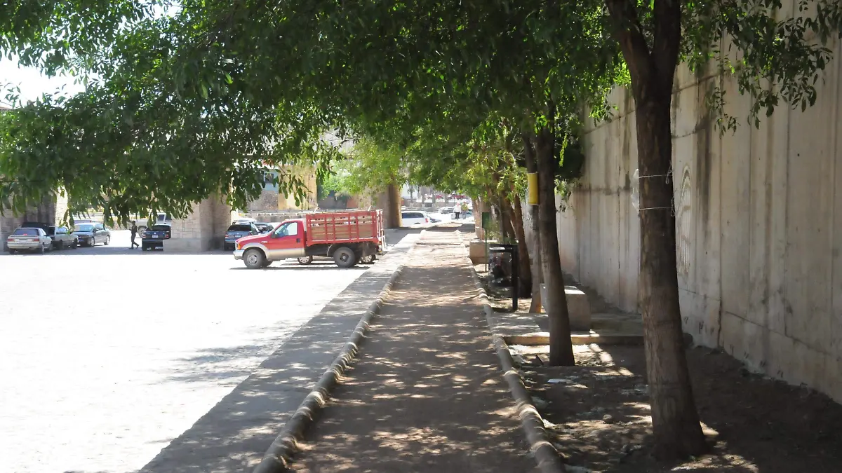 parque 2