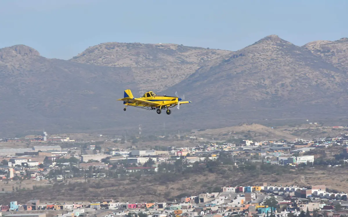avioneta 13