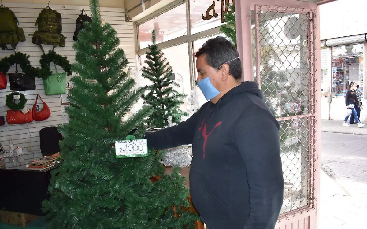 pinos