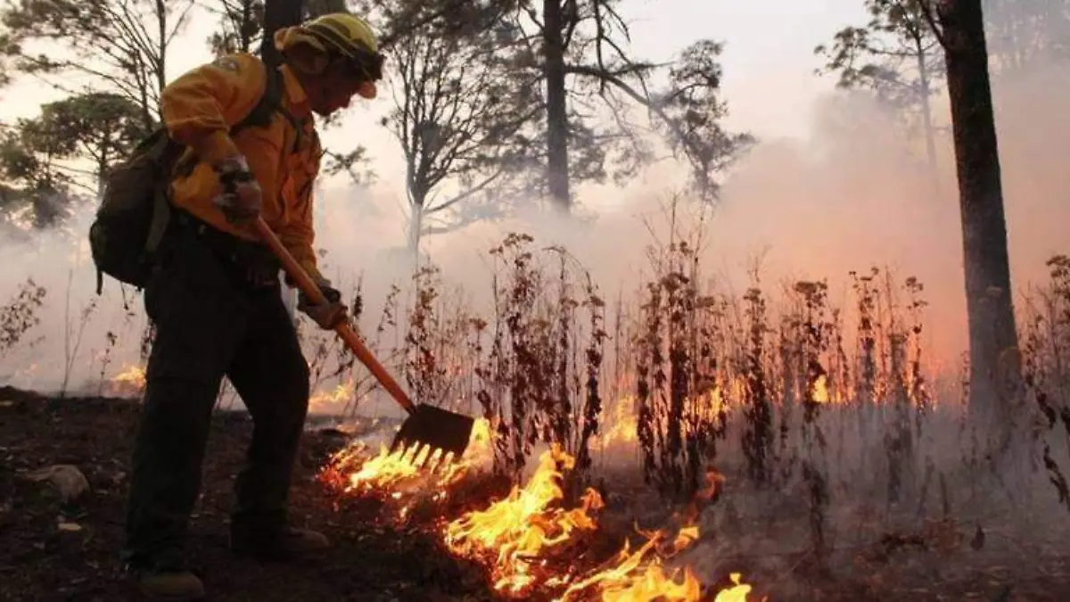 incendio forestal