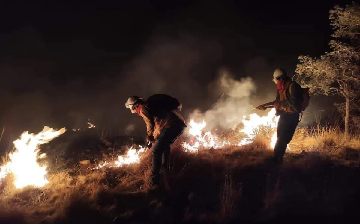 incendio forestal