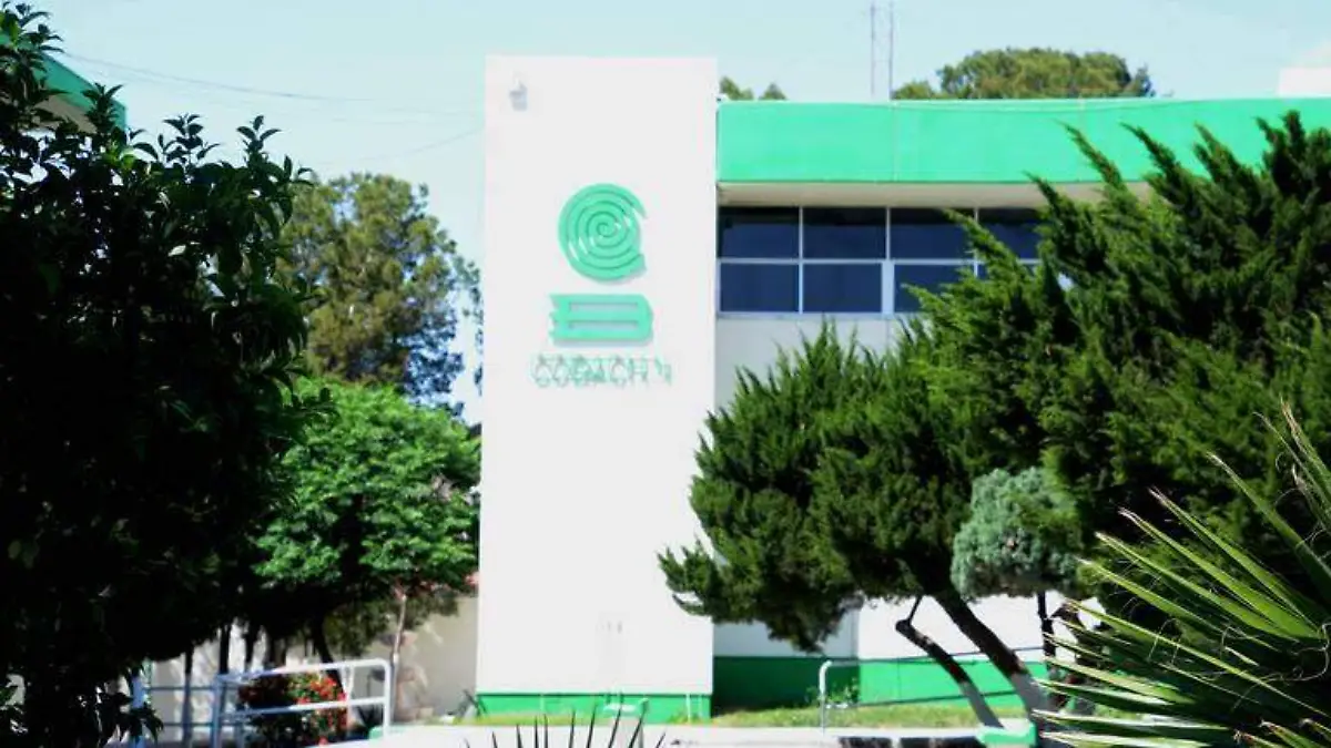 BACHILLERES (2)