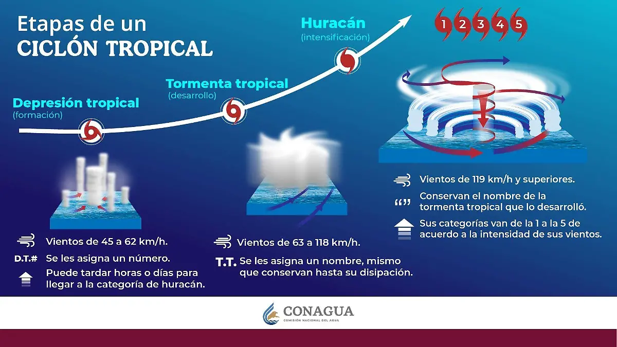 Etapas_de_un_ciclo_n_Tropical-