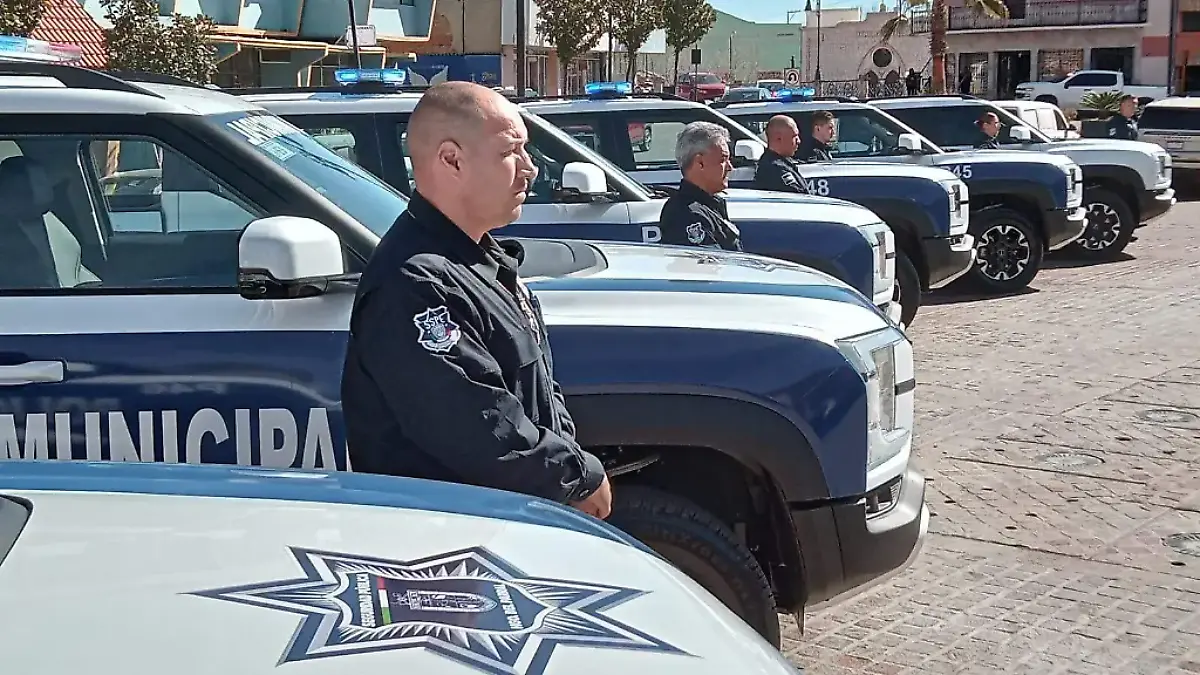 SEGURIDAD PUBLICA