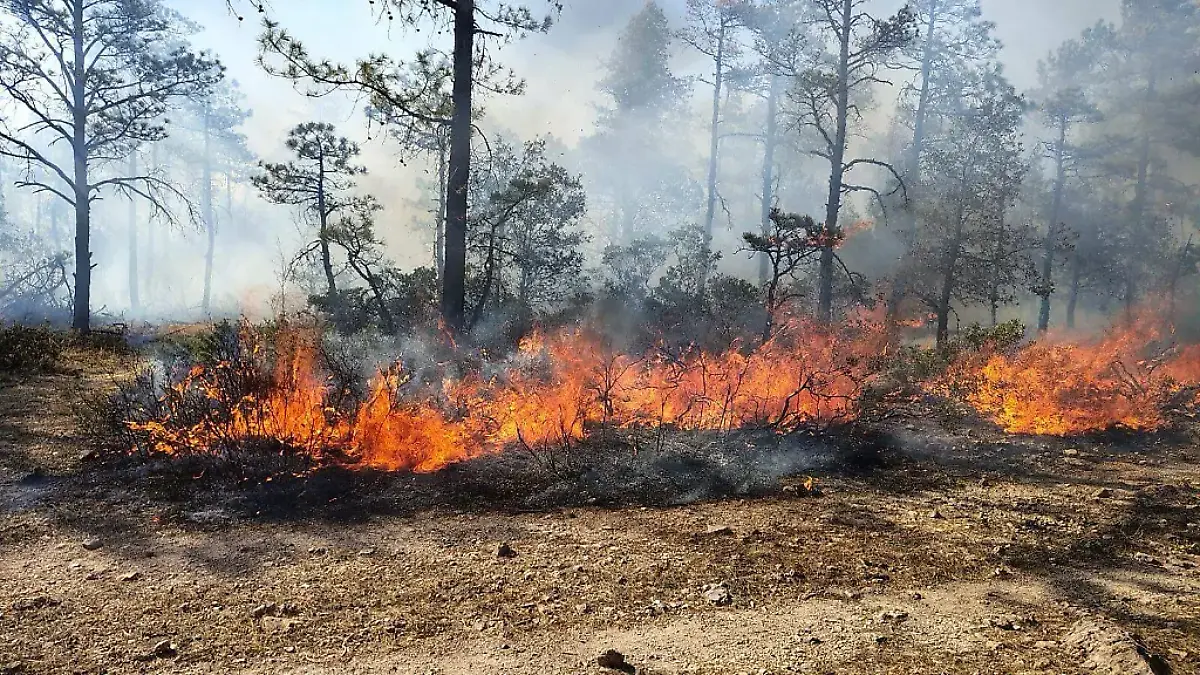 incendios forestales