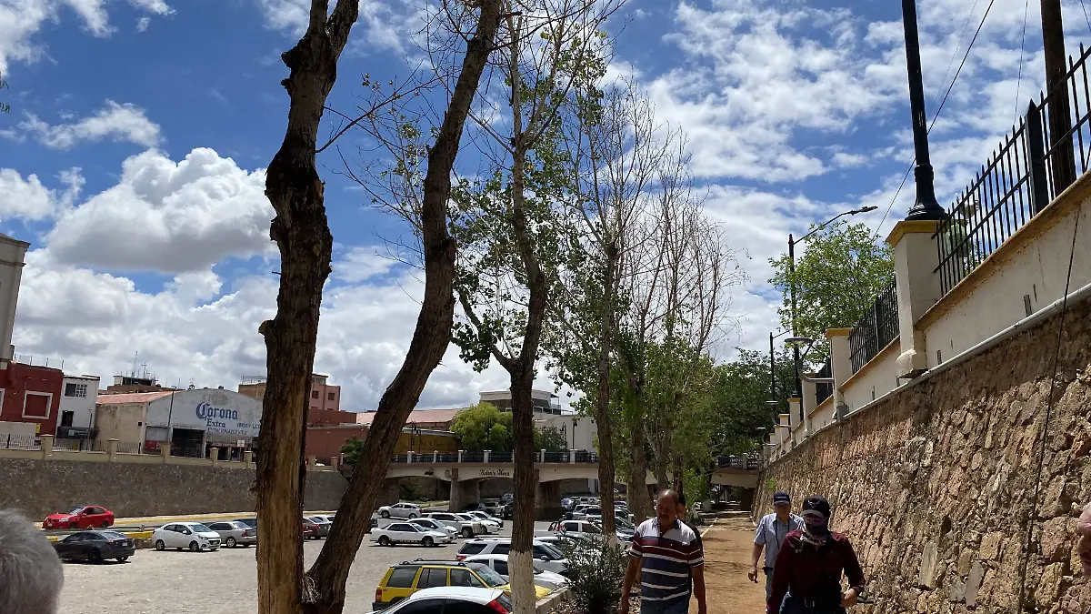 Inspección de biólogo en parque lineal 2