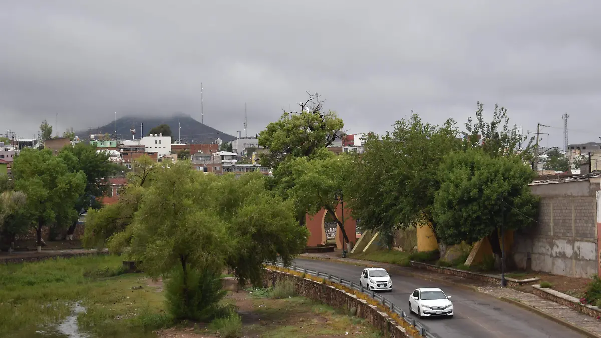 clima 6 nota de rosy