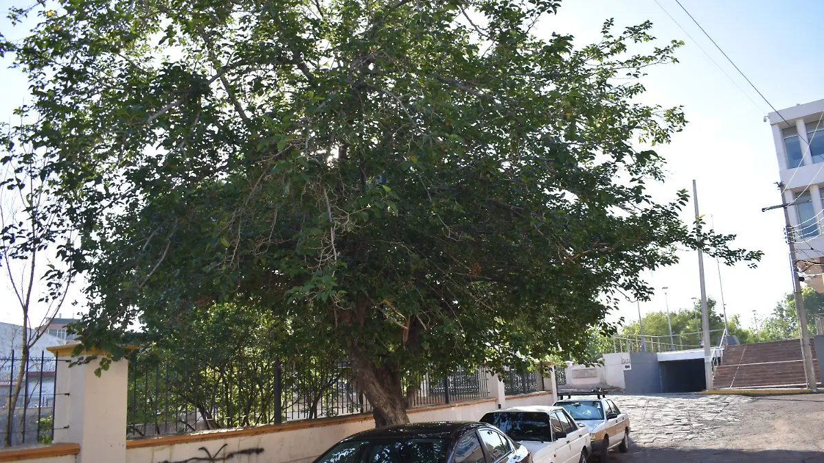 clima 2 -07 de julio