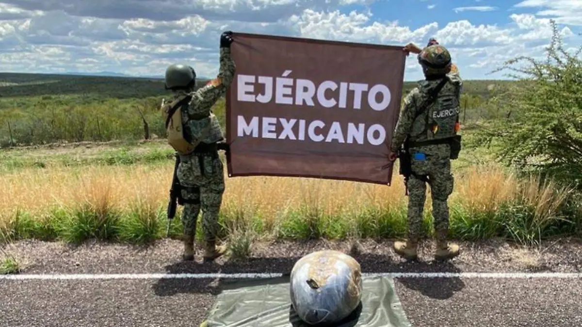 070725_CHIHUAHUA_01
