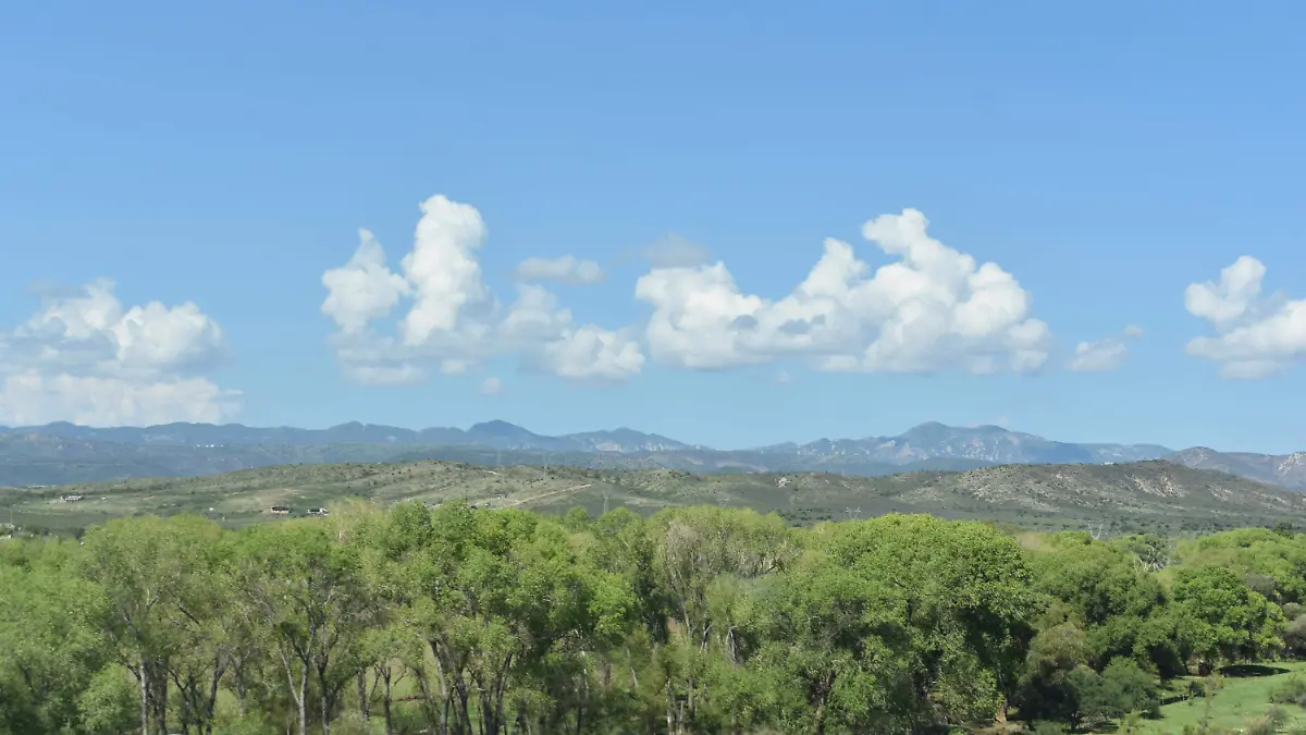 clima 6 nota de rosy