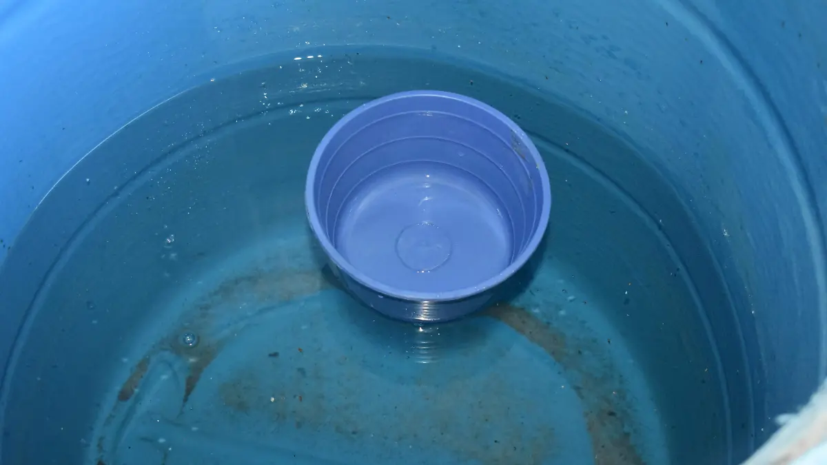 tandeo 2 -14 de julio