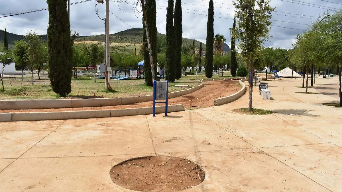 Otro espacio vacío al quitar árbol