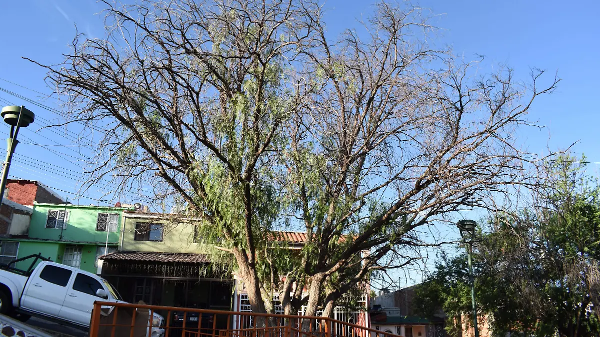 clima 2 nota de luis