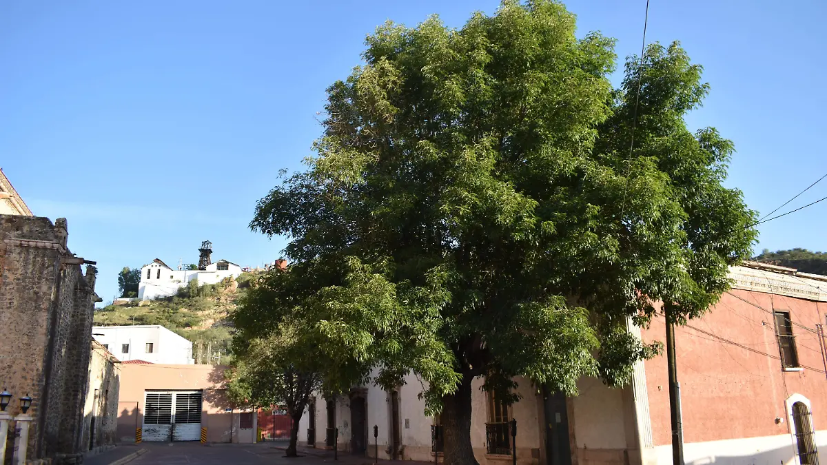 clima 1. -22 de julio