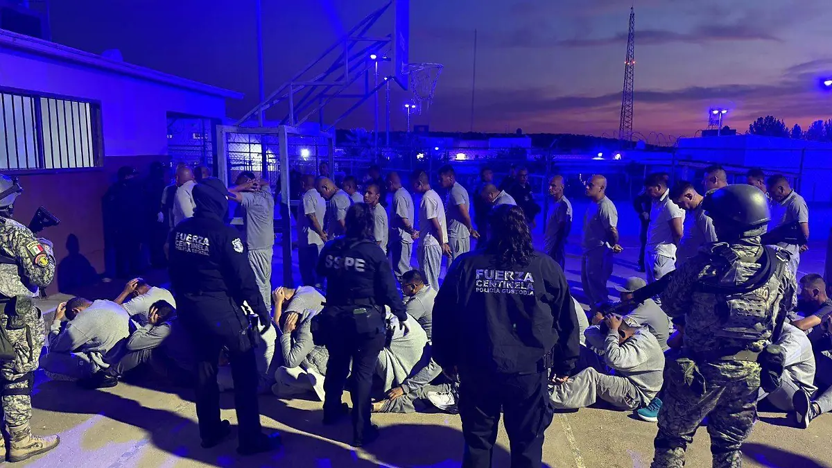 a791f3db-a1cd-4497-97f2-ccc9dceea342