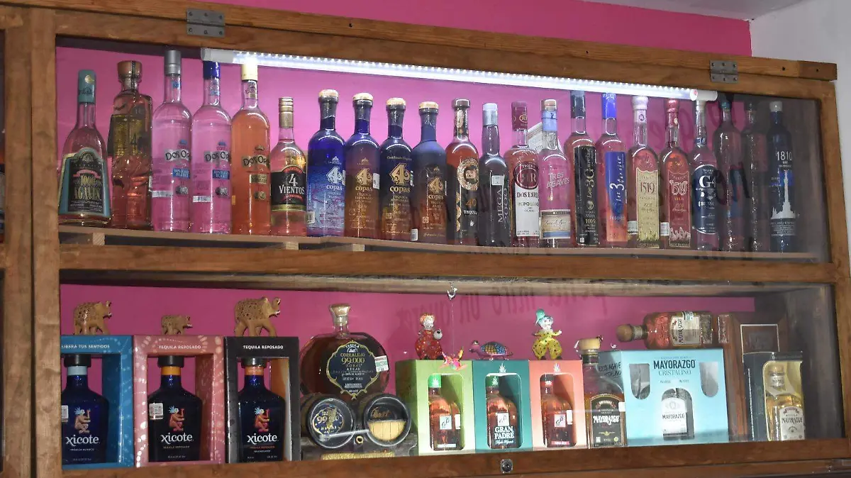 Coleccion Casa del Tequila