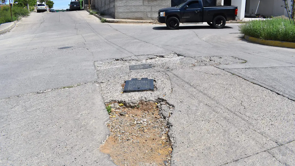 bache 5