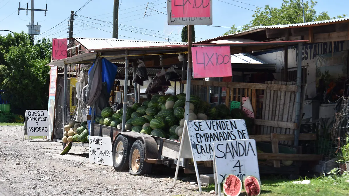 Sandía valle de zaragoza 