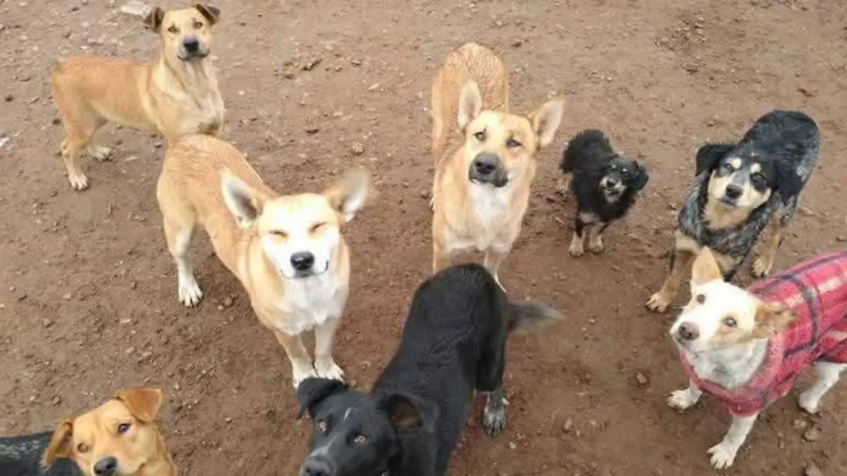48388