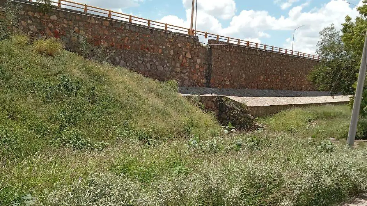 Área a intervenir con reforestación en colonia Morelos