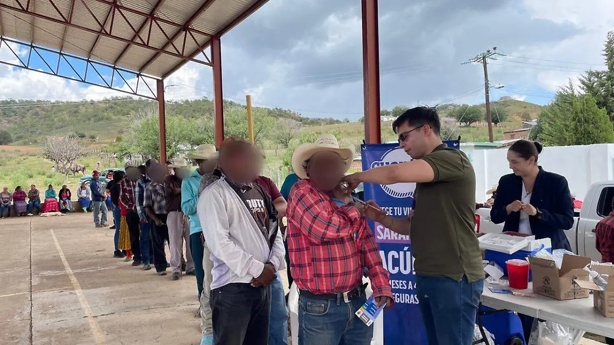 Revisiones a familias de Balleza