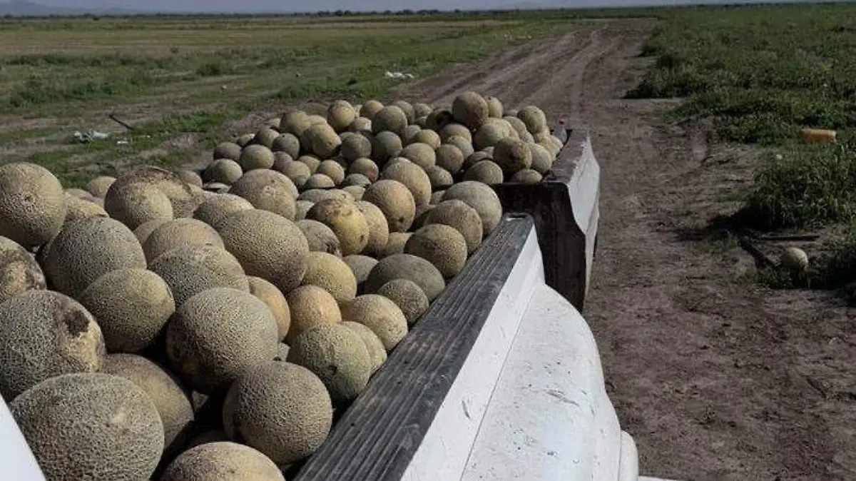 Camioneta cargada de melones en Jimenez