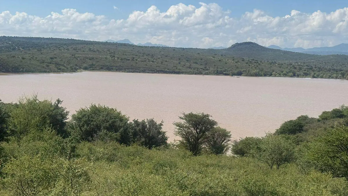 presa parral