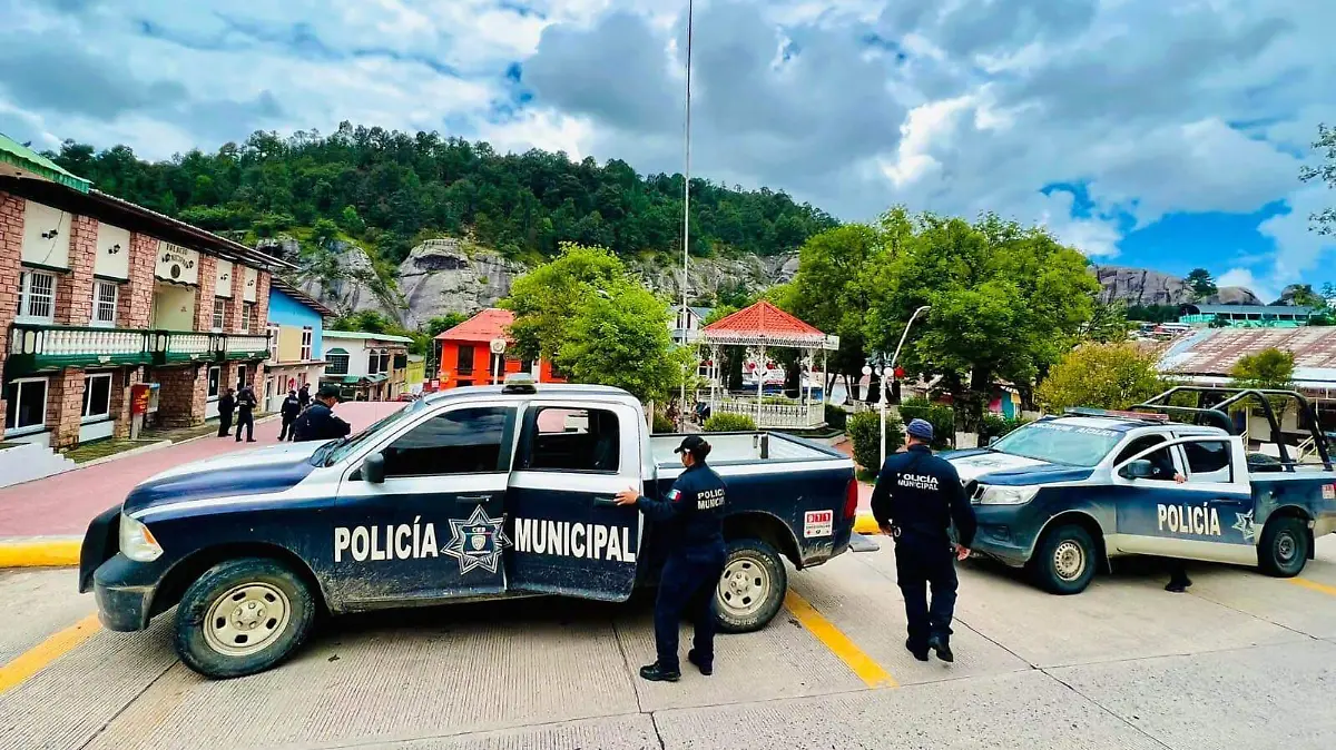 WhatsApp Image 2025-09-12 at 3.16.43 PM (1)