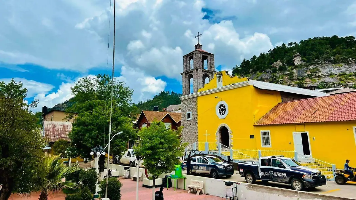 WhatsApp Image 2025-09-12 at 3.16.43 PM