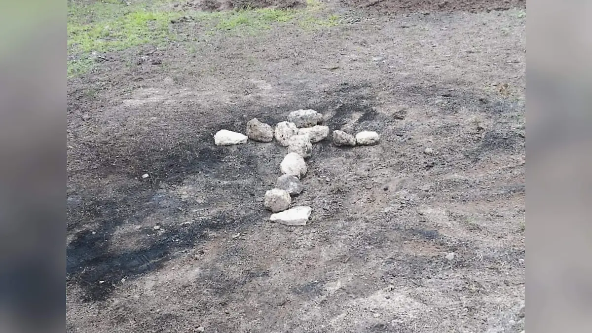 1000439711
