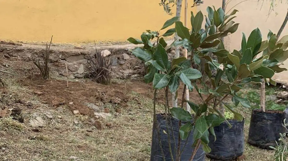 d52ab393-6fb4-4e17-ba98-9343bed9385f