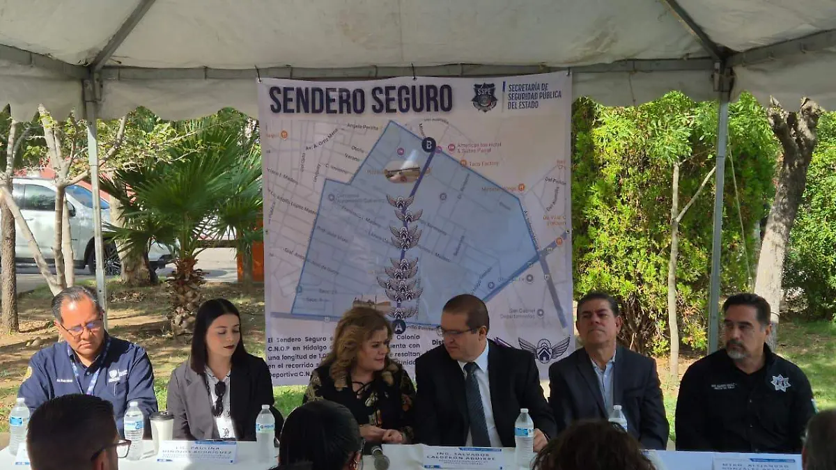 Seguridad Pública