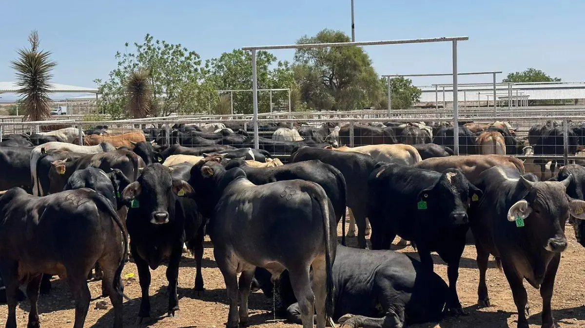 9a0fb157-bd25-43f8-8168-8d25eddbc931