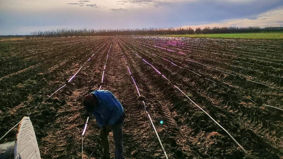 26679fd7-f5b5-4ea2-888c-87df79ed6d87