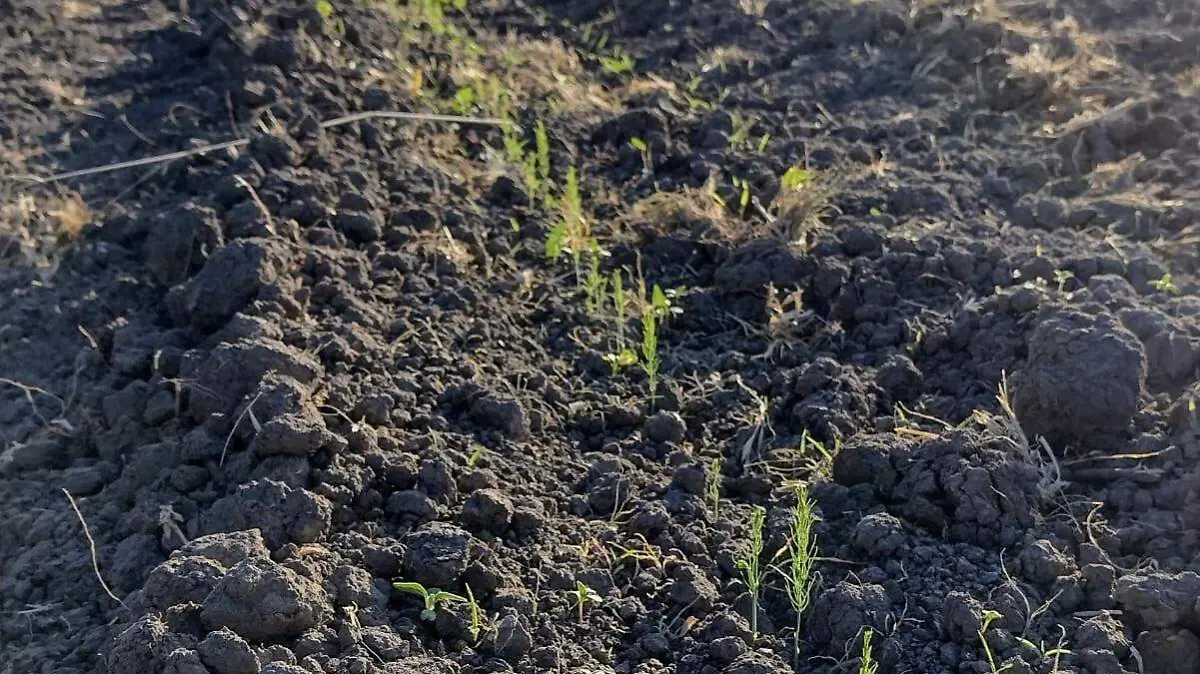 04296295-f39d-4b7e-9304-4023fef9e5af