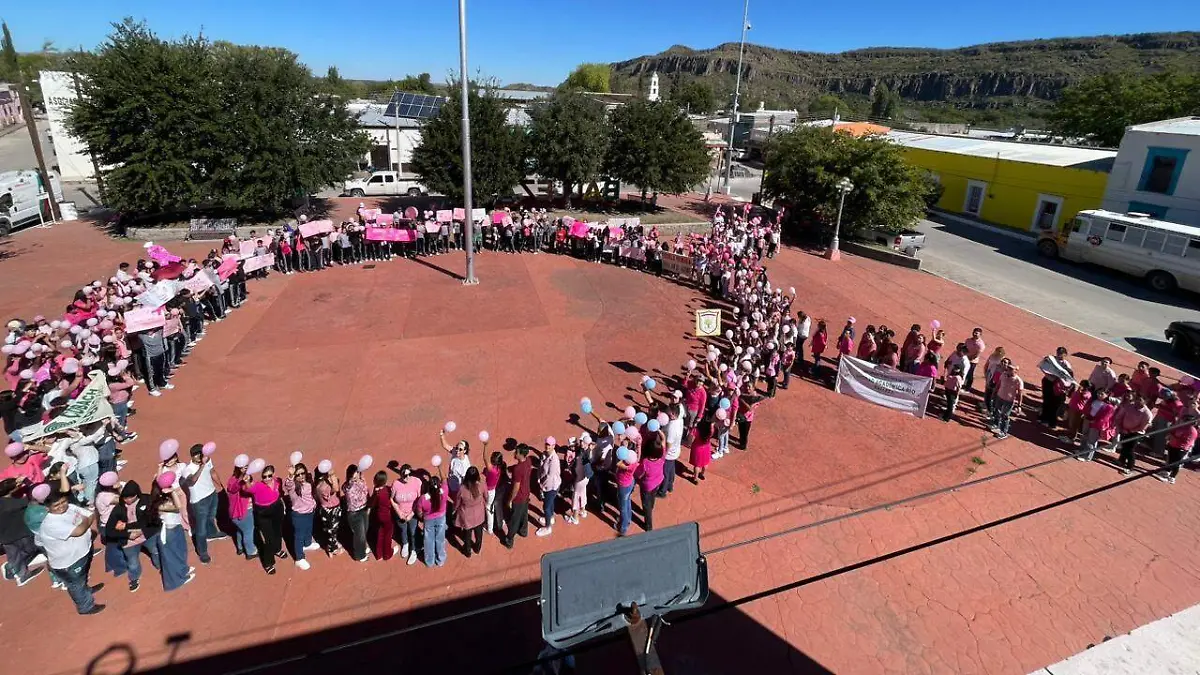 Mes rosa Balleza, Marcha Contra el Cáncer