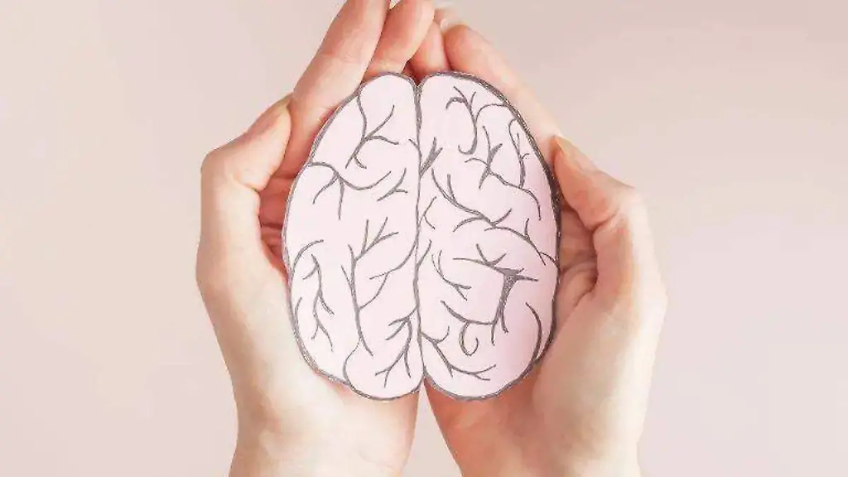 WhatsApp Image 2025-10-18 at 6.05.36 PM