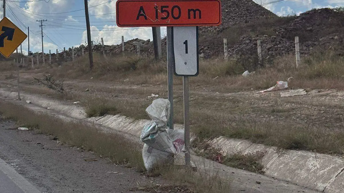 79426