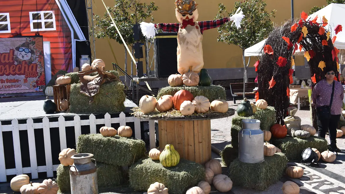 festival 9. Arranca el presidente municipal el festival de la cosecha en la plaza de la identidad.