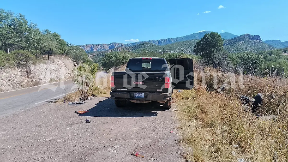 Marca de agua El Sol de Parral