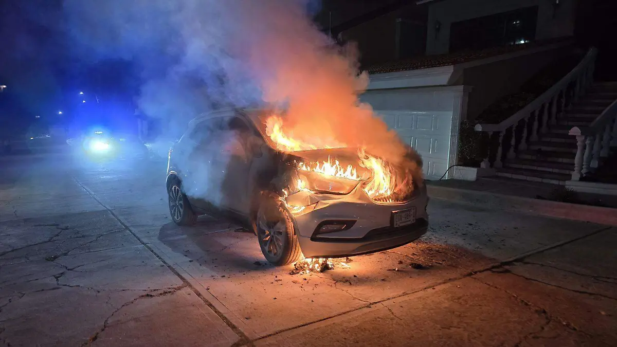 WhatsApp Image 2025-10-31 at 8.54.13 PM