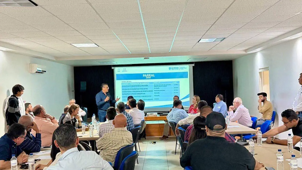 crecimiento organizado