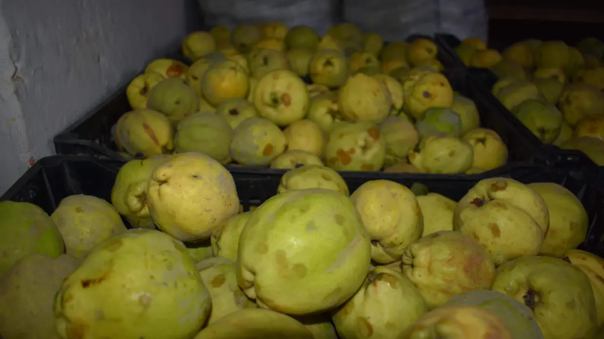 MEMBRILLO 3 semanario