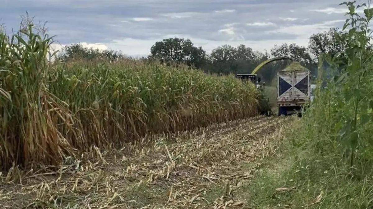 4c327acf-79b3-4461-b7e6-be614640efa7