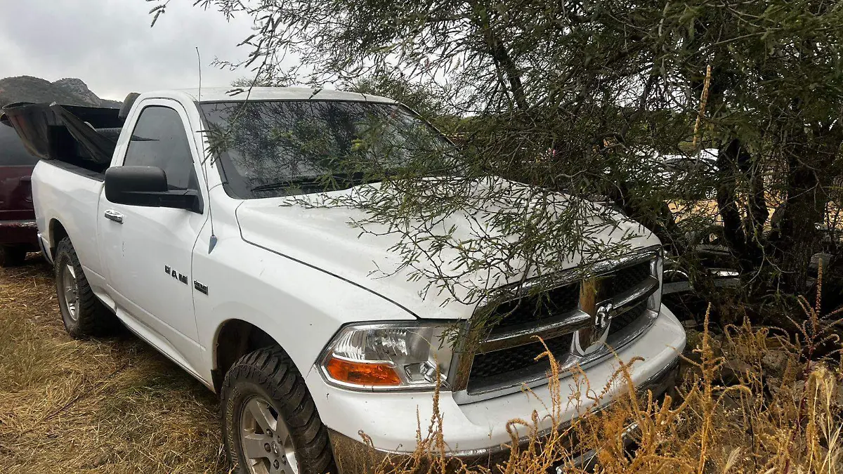 Semanario Carril Santa Teresa