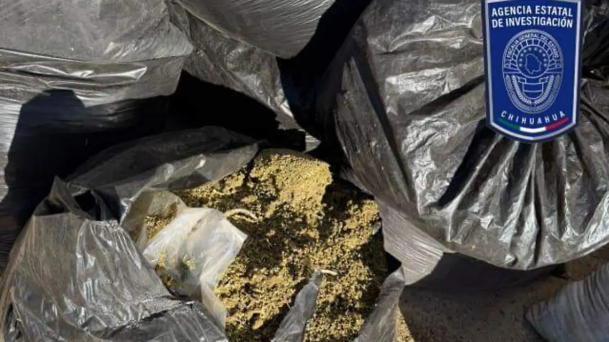 WhatsApp Image 2025-11-24 at 10.48.45 PM