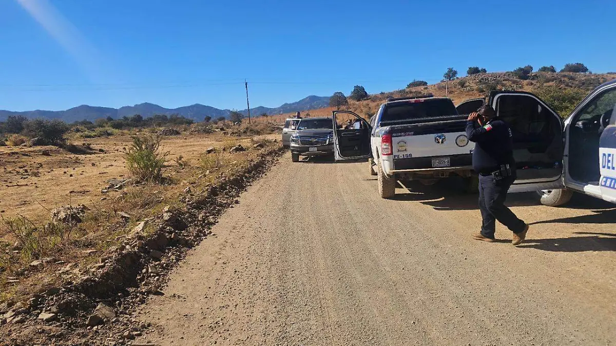 fa3a8762-3cea-4359-88d3-175fc7dc1b1c