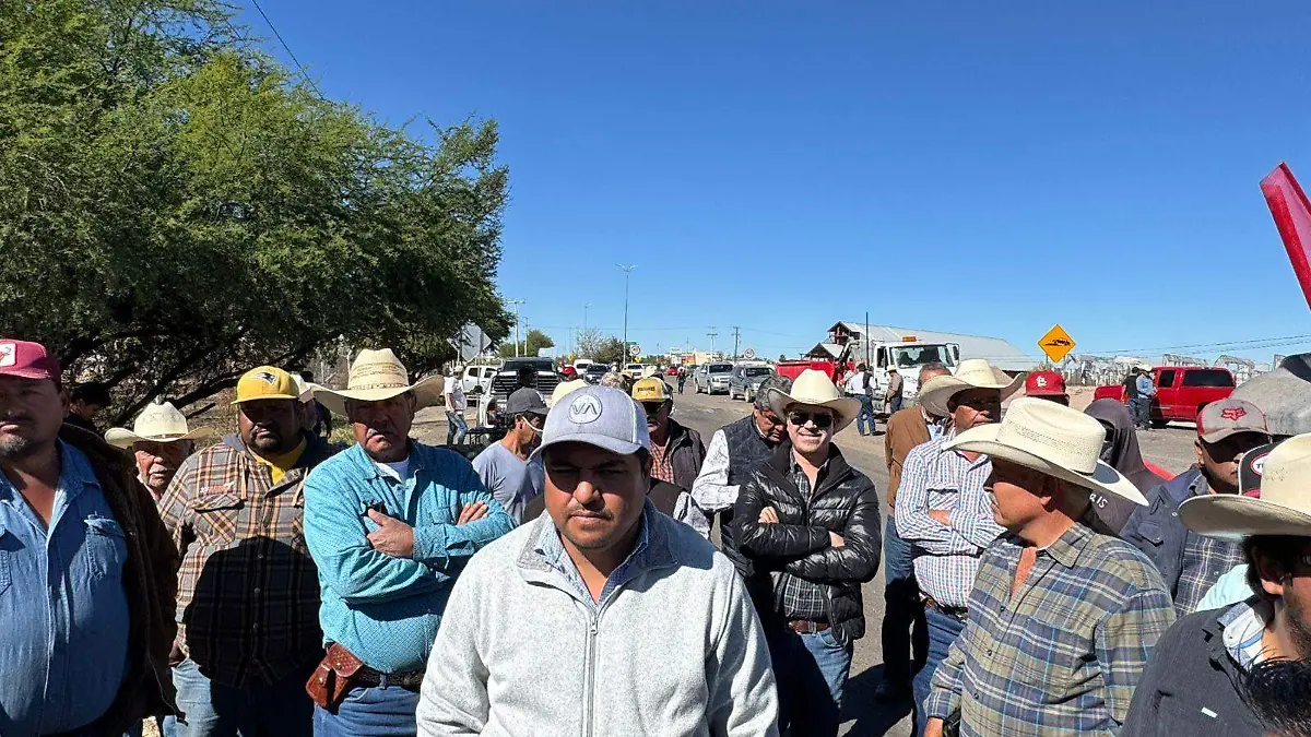 WhatsApp Image 2025-11-25 at 1.32.51 PM (1)