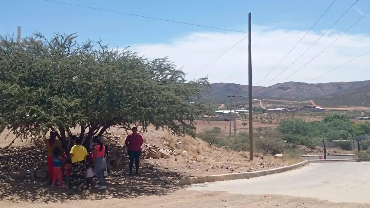 WhatsApp Image 2025-11-27 at 3.10.05 PM